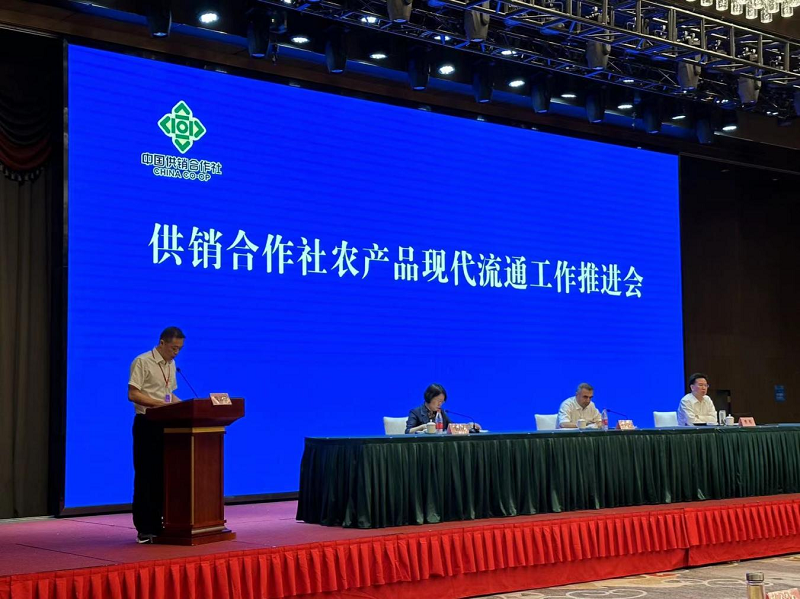 1691761240987716.png 圖片6.png