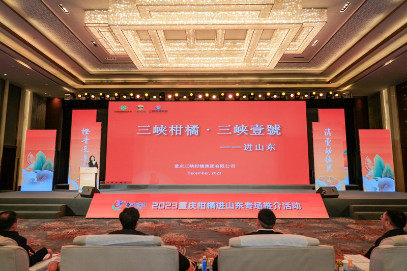 1703147670412934.png 圖片10.png