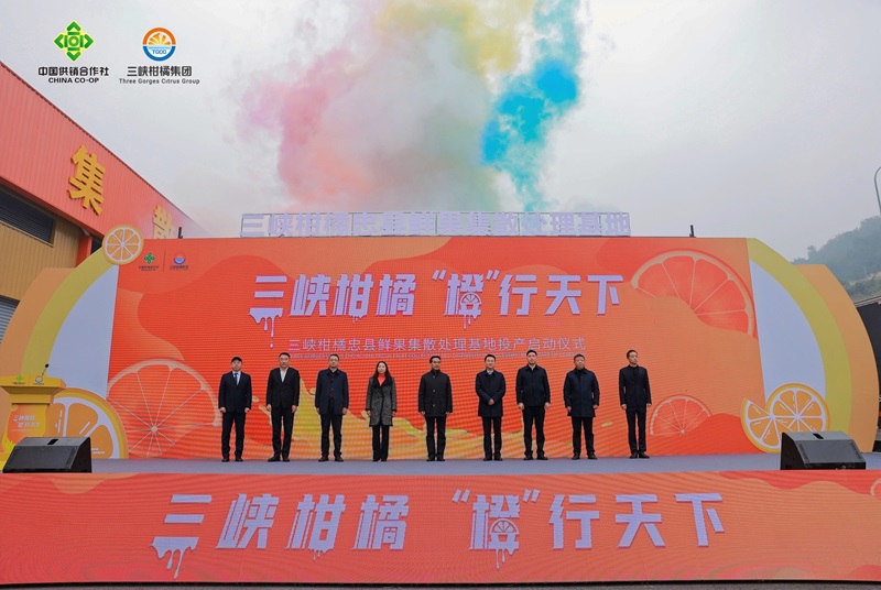 1703759214265612.jpg opq689287191.jpg